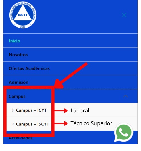 Página de inicio ICYT