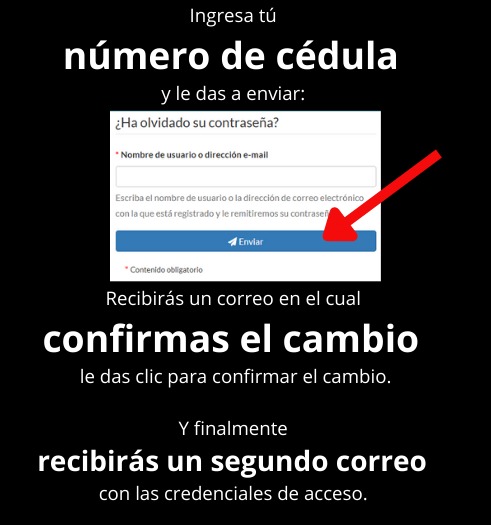 Pantalla de recuperación de contraseña